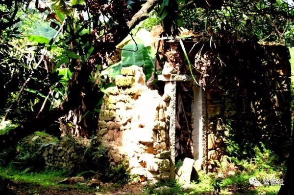 南安官桥曙光村（一）：向北，向北，直到那飘荡着地瓜香的土地