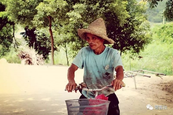 南安官桥曙光村（一）：向北，向北，直到那飘荡着地瓜香的土地