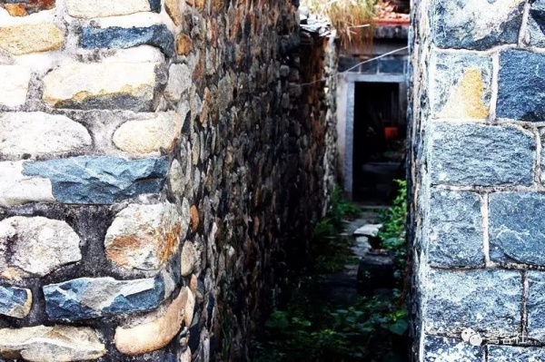 南安官桥曙光村（一）：向北，向北，直到那飘荡着地瓜香的土地