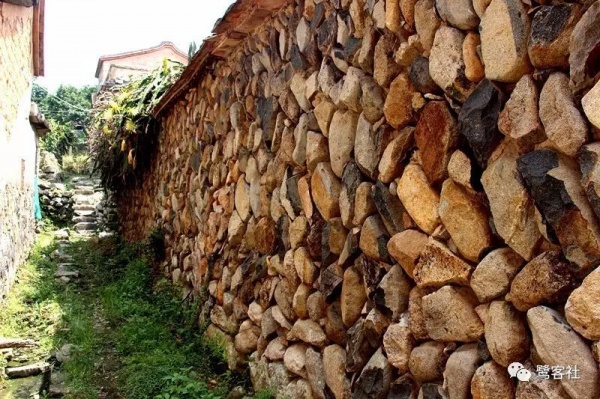 南安官桥曙光村（一）：向北，向北，直到那飘荡着地瓜香的土地