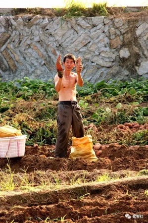 南安官桥曙光村（一）：向北，向北，直到那飘荡着地瓜香的土地