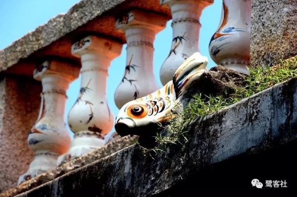 南安官桥曙光村（一）：向北，向北，直到那飘荡着地瓜香的土地