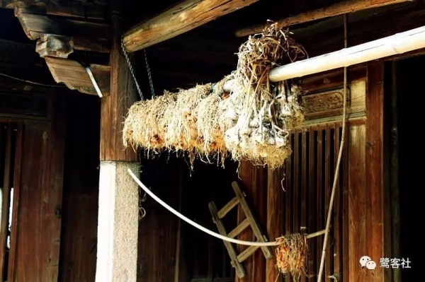 南安官桥曙光村（一）：向北，向北，直到那飘荡着地瓜香的土地