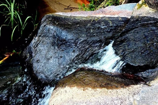 南安官桥曙光村（一）：向北，向北，直到那飘荡着地瓜香的土地