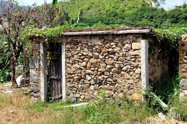 南安官桥曙光村（一）：向北，向北，直到那飘荡着地瓜香的土地