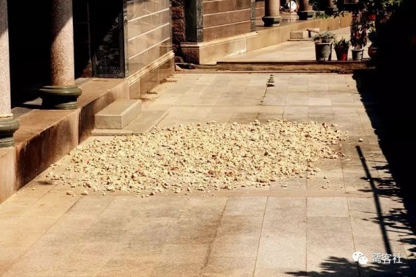 南安官桥曙光村（一）：向北，向北，直到那飘荡着地瓜香的土地