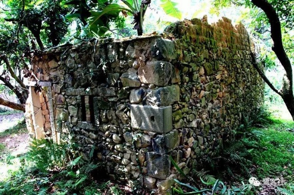 南安官桥曙光村（一）：向北，向北，直到那飘荡着地瓜香的土地