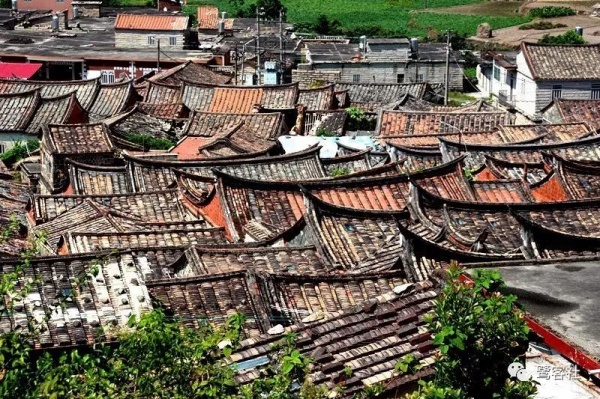 南安官桥曙光村（一）：向北，向北，直到那飘荡着地瓜香的土地