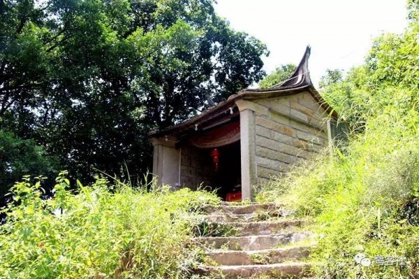 南安官桥曙光村（一）：向北，向北，直到那飘荡着地瓜香的土地