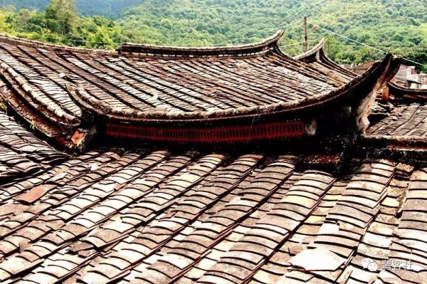 南安官桥曙光村（一）：向北，向北，直到那飘荡着地瓜香的土地