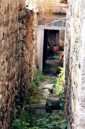 南安官桥曙光村（一）：向北，向北，直到那飘荡着地瓜香的土地