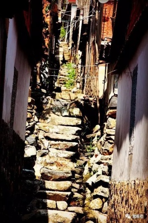 南安官桥曙光村（一）：向北，向北，直到那飘荡着地瓜香的土地