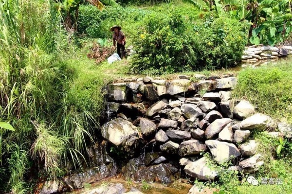 南安官桥曙光村（一）：向北，向北，直到那飘荡着地瓜香的土地