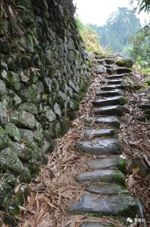 LOOK南靖：塔下人的远行与荣耀