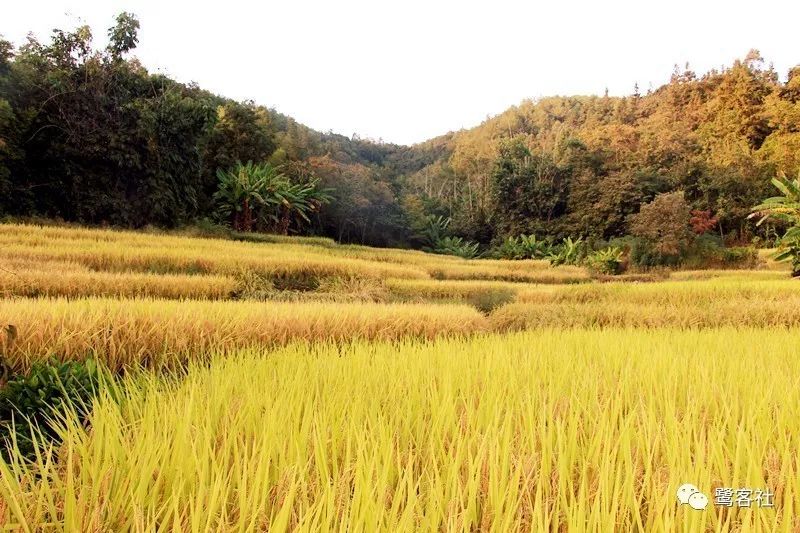 LOOK永定:那座名叫长滩的清寂小村庄 LOOK永定:那座名叫长滩的清寂小村庄