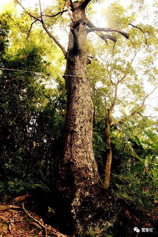 LOOK永定:那座名叫长滩的清寂小村庄 LOOK永定:那座名叫长滩的清寂小村庄