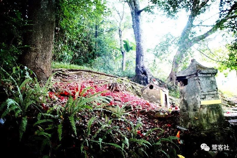 LOOK永定:那座名叫长滩的清寂小村庄 LOOK永定:那座名叫长滩的清寂小村庄