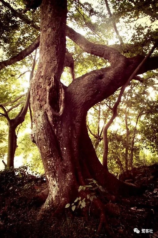 LOOK永定:那座名叫长滩的清寂小村庄 LOOK永定:那座名叫长滩的清寂小村庄