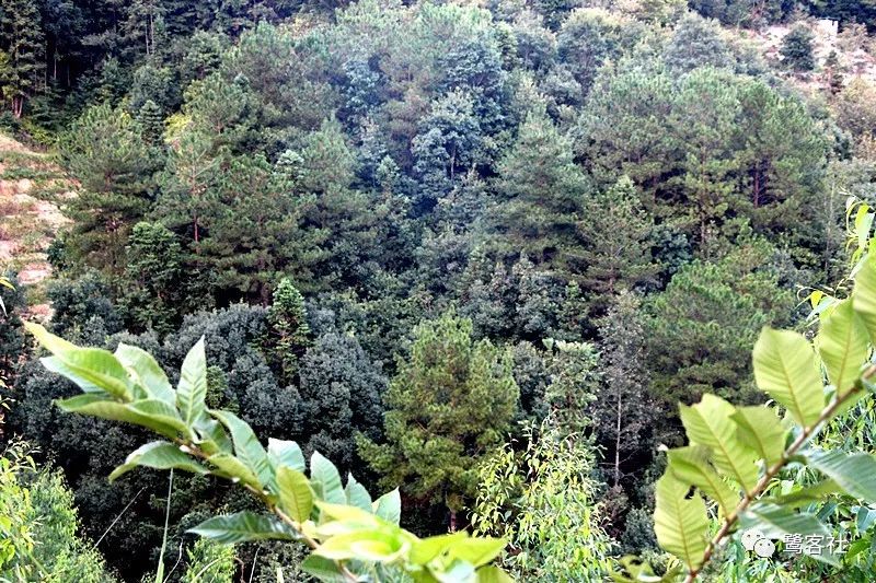 LOOK永定:那座名叫长滩的清寂小村庄 LOOK永定:那座名叫长滩的清寂小村庄