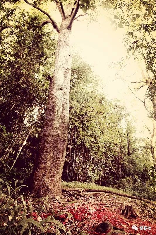 LOOK永定:那座名叫长滩的清寂小村庄 LOOK永定:那座名叫长滩的清寂小村庄