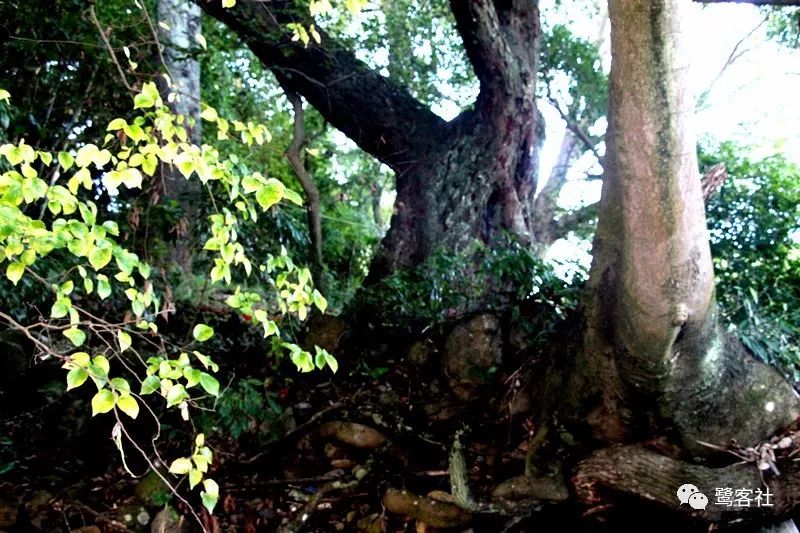 LOOK永定:那座名叫长滩的清寂小村庄 LOOK永定:那座名叫长滩的清寂小村庄