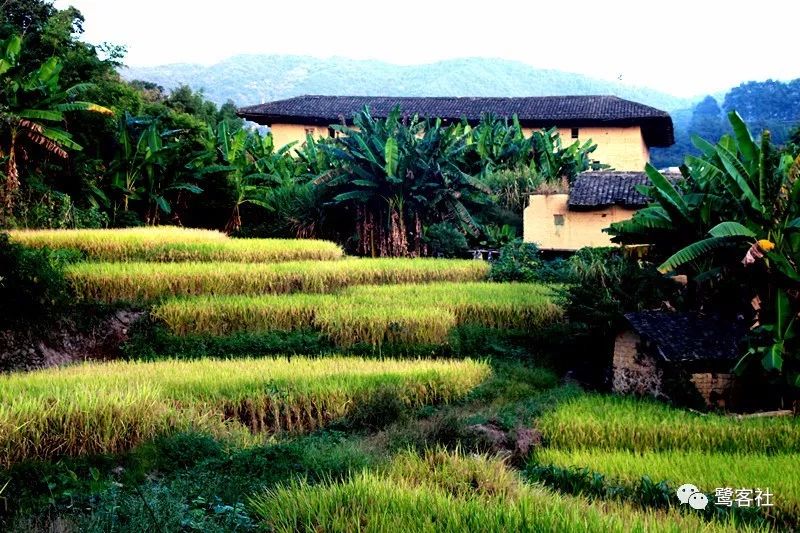 LOOK永定:那座名叫长滩的清寂小村庄 LOOK永定:那座名叫长滩的清寂小村庄