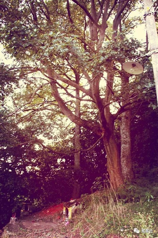 LOOK永定:那座名叫长滩的清寂小村庄 LOOK永定:那座名叫长滩的清寂小村庄