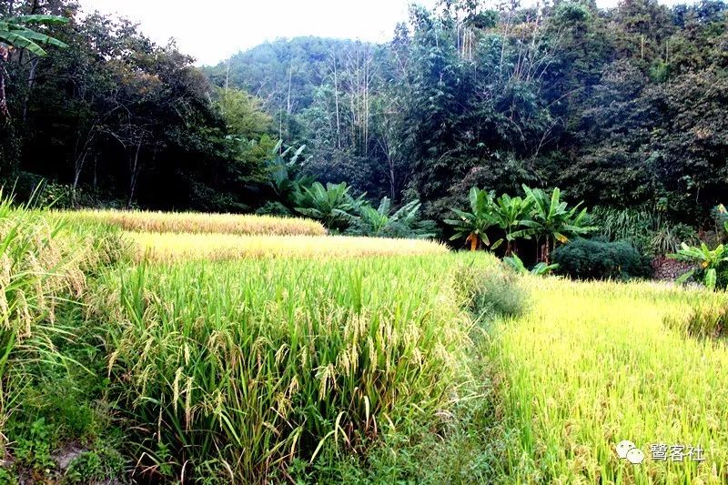 LOOK永定:那座名叫长滩的清寂小村庄 LOOK永定:那座名叫长滩的清寂小村庄