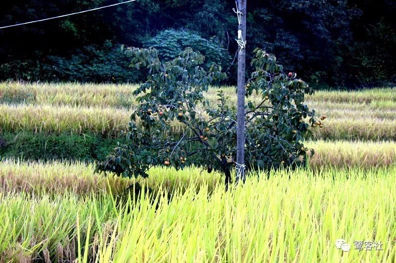 LOOK永定:那座名叫长滩的清寂小村庄 LOOK永定:那座名叫长滩的清寂小村庄