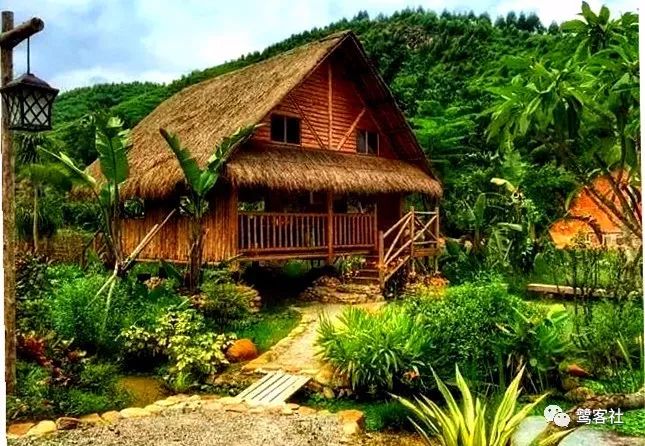 LOOK龙海:双第山竟隐藏着“小联合国” LOOK龙海:双第山竟隐藏着“小联合国”