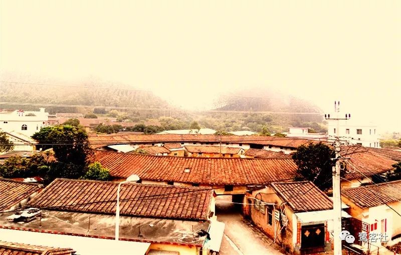 LOOK龙海:双第山竟隐藏着“小联合国” LOOK龙海:双第山竟隐藏着“小联合国”