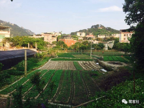 厦门东山社叶氏村民：一百年前逃离家园的亲人们，你们在哪里