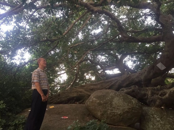 日渐走远的“寡妇村”重返铜钵村探寻30年的悲欢离合