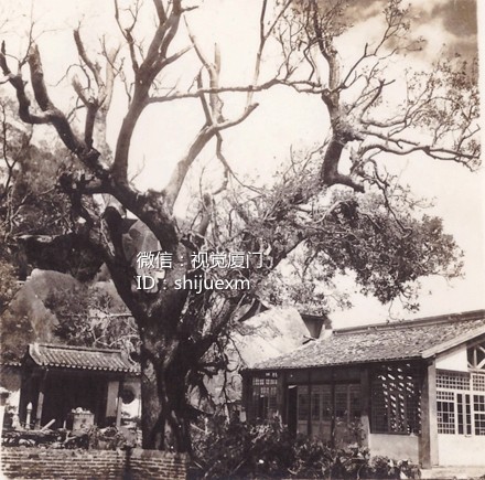 201606131465829017898413.jpg clip_image013.jpg