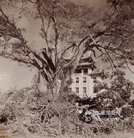 201606131465829092530922.jpg clip_image021.jpg