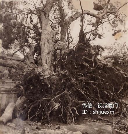 201606131465829119486720.jpg clip_image022.jpg