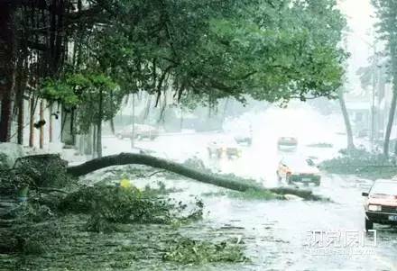 201606131465829202960026.jpg clip_image030.jpg