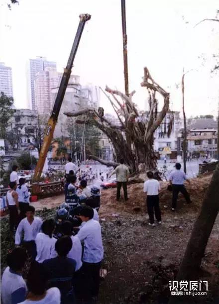 201606131465829417858508.jpg clip_image050.jpg