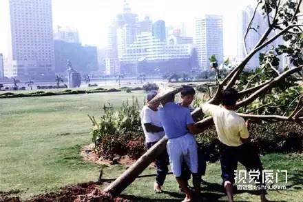 201606131465829486616989.jpg clip_image054.jpg