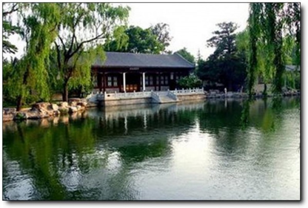 万木林_建瓯万木林_万木林