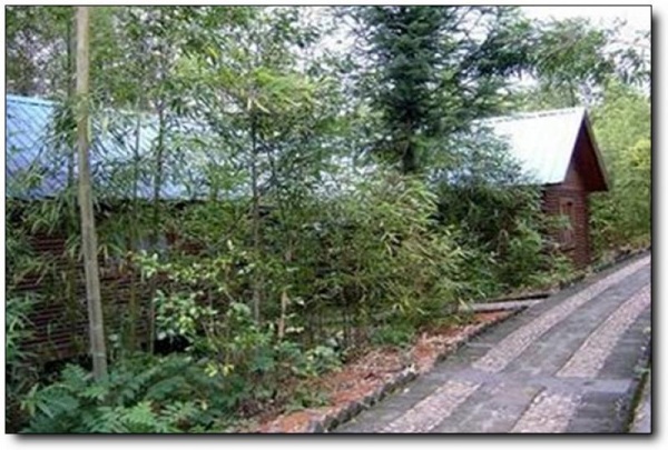 华阳畲族山庄_顺昌华阳畲族山庄_华阳畲族山庄