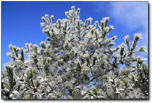 顺昌宝山_顺昌顺昌宝山_顺昌宝山