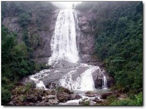 福山森林公园_邵武福山森林公园_福山森林公园