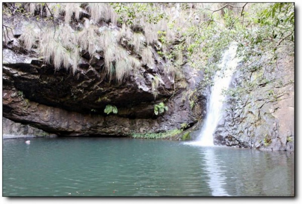 龙井山_邵武龙井山_龙井山