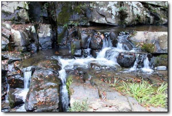 龙井山_邵武龙井山_龙井山