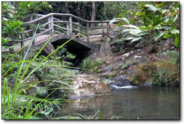 龙井山_邵武龙井山_龙井山