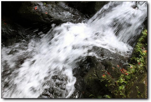龙井山_邵武龙井山_龙井山