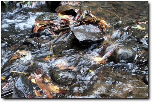 龙井山_邵武龙井山_龙井山