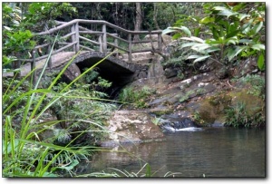 龙井山_邵武龙井山_龙井山