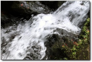 龙井山_邵武龙井山_龙井山
